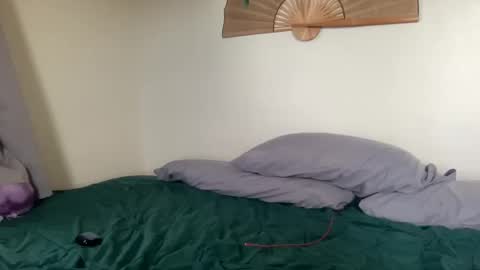 DD online show from 04.14.26