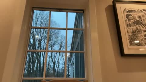 treborinthesky online show from 02.02.25