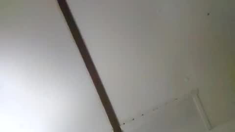 trex23rd online show from 02.07.26