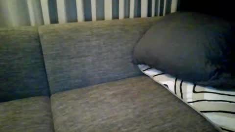 triciawu22 online show from 12.08.24