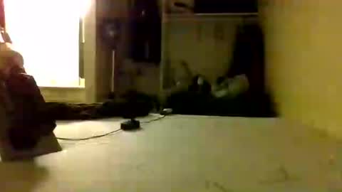Snapshot of trickydick6 chatting on 06.25.26 trickydick6 online show from 06.25.26