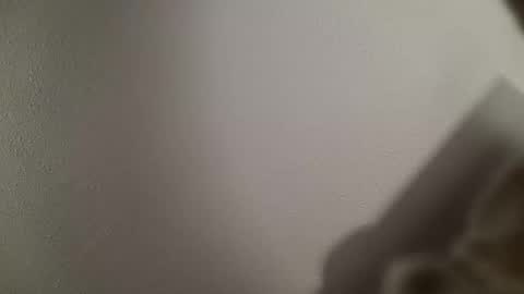 trinicdn online show from 10.25.25