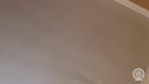 Antique-Shirt2516 online show from 11.13.25