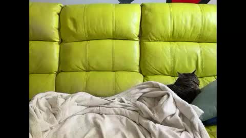 Ramiro online show from 04.03.26