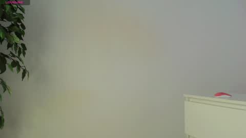 Trixie Taylor online show from 03.02.26