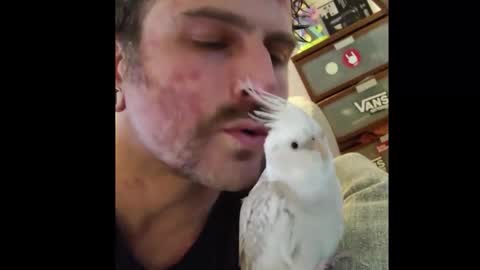 Snapshot of truckguitar chatting on 02.20.26 Yuri Nater online show from 02.20.26