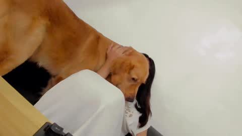 Snapshot of ts_danielahugecock_xxx chatting on 12.31.24 ts_danielahugecock_xxx online show from 12.31.24