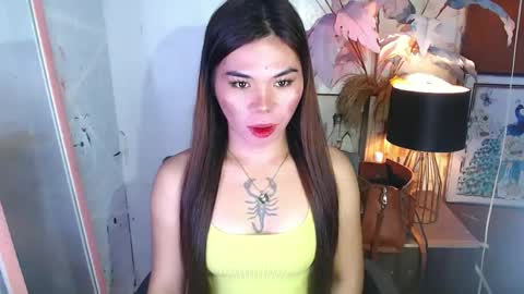 tsnovy online show from 12.13.24