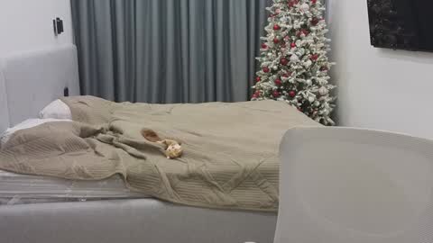 Ariana online show from 12.30.24