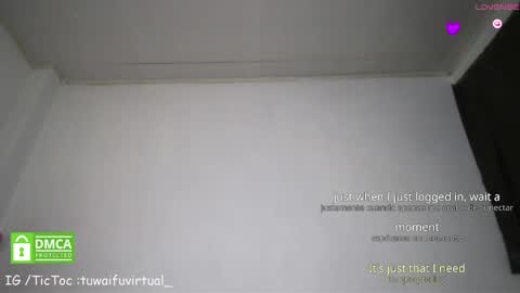 Snapshot of tuwaifuvirtual1 chatting on 05.03.26 Tay online show from 05.03.26