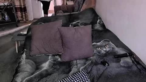 Lana online show from 11.17.25