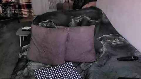 Lana online show from 03.16.26