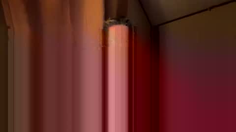 twosmallholes42 online show from 03.01.26