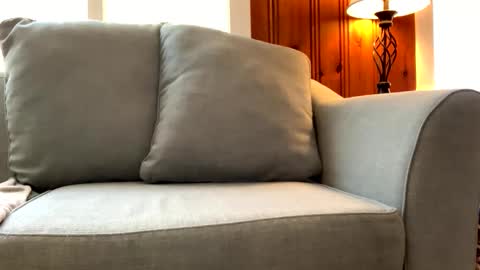 Snapshot of tylersands chatting on 03.07.25 Tyler Sands online show from 03.07.25