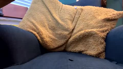 Snapshot of ukclive chatting on 02.05.25 ukclive online show from 02.05.25