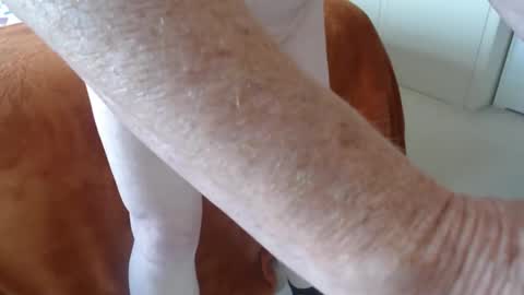 Uncle online show from 04.21.26