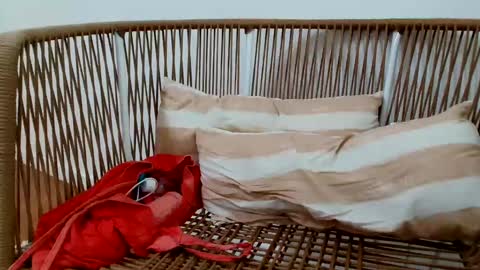 Under  Huge cock with beautiful uncut foreskin online show from 01.16.25