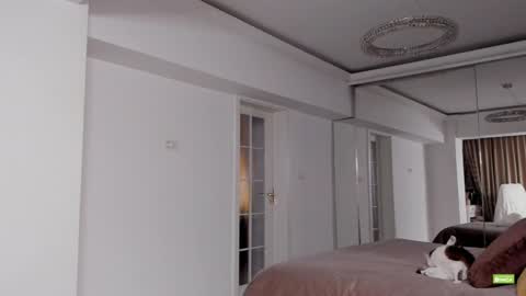 Silvia online show from 12.15.24