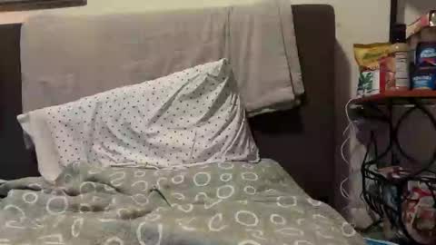 Stepbro online show from 03.07.25