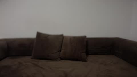 Snapshot of unverifiedbwc chatting on 01.31.26 Stepbro online show from 01.31.26