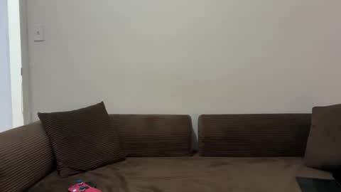 Snapshot of unverifiedbwc chatting on 02.05.26 Stepbro online show from 02.05.26