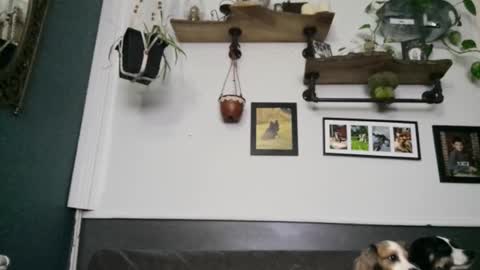 MYMY online show from 02.08.26