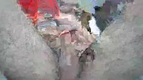 Andres  Jordi online show from 12.31.24