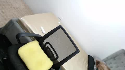 Amira online show from 02.26.25