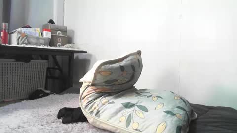 Snapshot of urnightmarets chatting on 02.03.26 Rbabes online show from 02.03.26