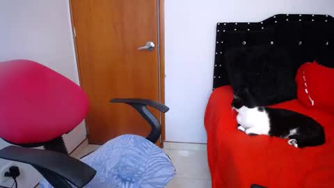 Eveling Blanco  online show from 02.18.25