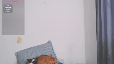 Snapshot of valen_thompson chatting on 11.24.25 IG-valen mendoza99 twitter valenthompson99 online show from 11.24.25