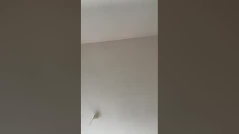 valerianleclercq2025 online show from 02.27.26