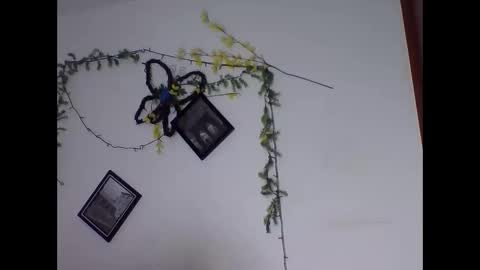 Snapshot of valery_honey_ chatting on 06.02.26 valery_honey_ online show from 06.02.26