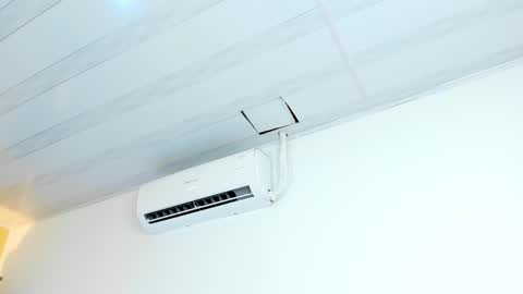 Valery online show from 11.11.25