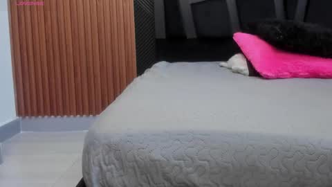 Snapshot of valka_ross chatting on 11.17.25 VALKA ROSS online show from 11.17.25