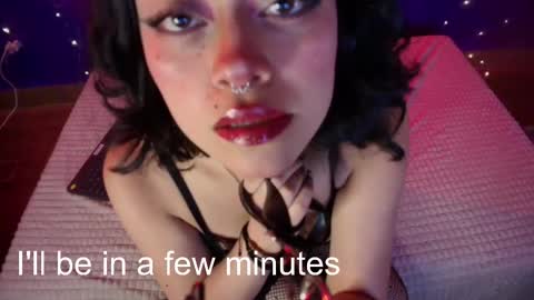 Snapshot of vanelope11 chatting on 11.05.25 Vanelope online show from 11.05.25