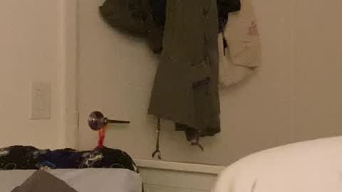 Snapshot of vanessapark chatting on 12.24.24 Vanessa online show from 12.24.24