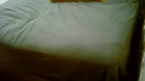 Usagi online show from 01.18.26