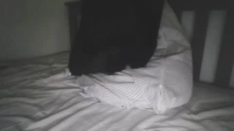 Snapshot of varghese28 chatting on 09.18.25 kerala mallu boy online show from 09.18.25