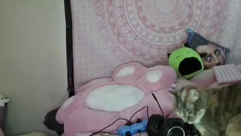 Veronica Lehane online show from 01.09.25