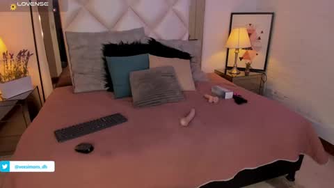 Snapshot of veesimons_dh chatting on 01.03.25 Vee Simons online show from 01.03.25