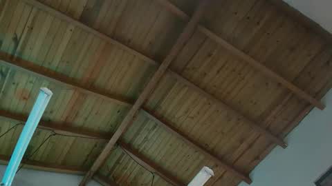 VENUS online show from 11.29.25