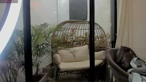 VENUS online show from 01.11.26