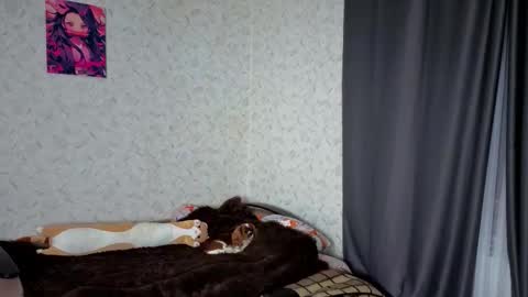 Snapshot of verocat chatting on 03.04.26 Veronica online show from 03.04.26