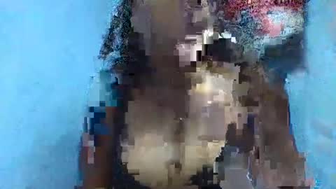 verolla31 online show from 02.02.25