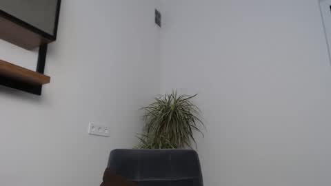 veronik_shy online show from 02.12.26