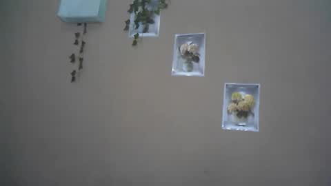 Snapshot of verronique1511 chatting on 04.22.26 verronique1511 online show from 04.22.26