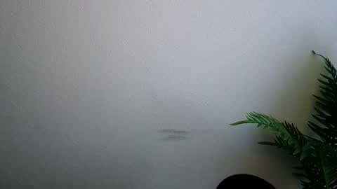 Snapshot of veryveryshygirl chatting on 02.05.26 Ana online show from 02.05.26