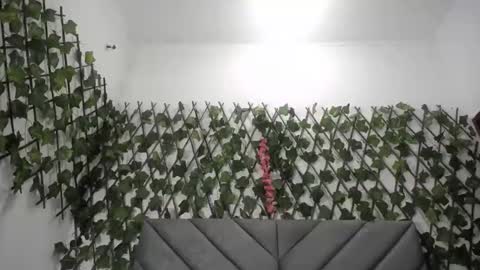 Frida online show from 11.26.25