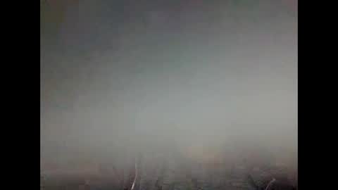 Snapshot of vic_manu chatting on 01.29.25 vic_manu online show from 01.29.25